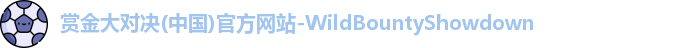 赏金大对决